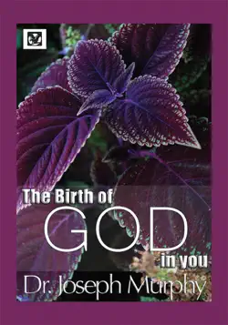 the birth of god in you book cover image