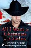 All I Want for Christmas is a Cowboy sinopsis y comentarios