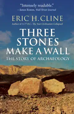 three stones make a wall book cover image