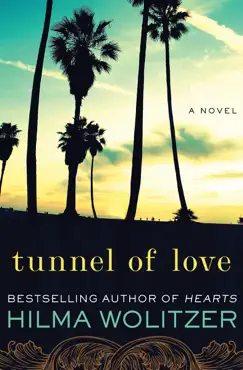 tunnel of love book cover image