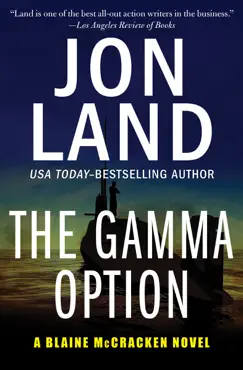 the gamma option book cover image