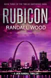 Rubicon synopsis, comments