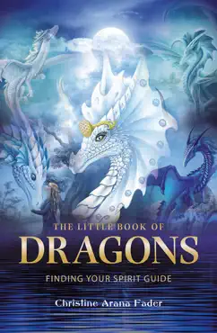 the little book of dragons book cover image