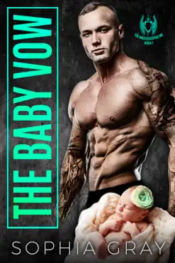 the baby vow book cover image