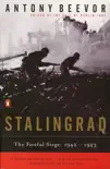 Stalingrad synopsis, comments