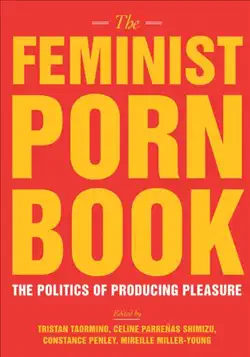 the feminist porn book book cover image