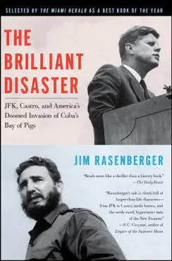 the brilliant disaster book cover image