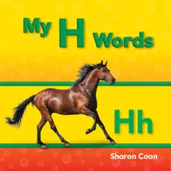 my h words book cover image
