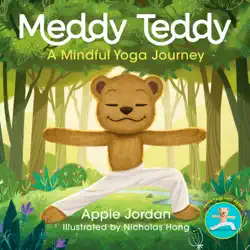 meddy teddy book cover image