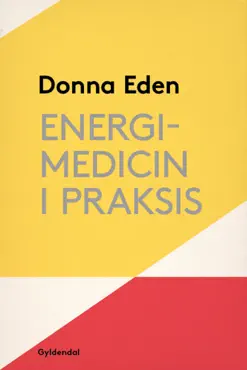 energimedicin i praksis book cover image