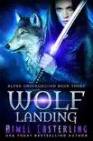 Wolf Landing synopsis, comments
