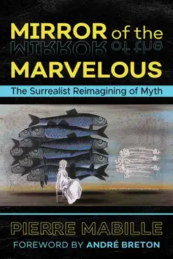 mirror of the marvelous book cover image