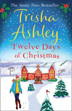 twelve days of christmas book cover image
