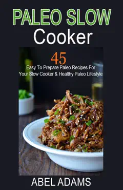 paleo slow cooker book cover image