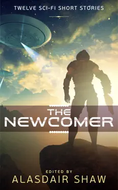 the newcomer book cover image