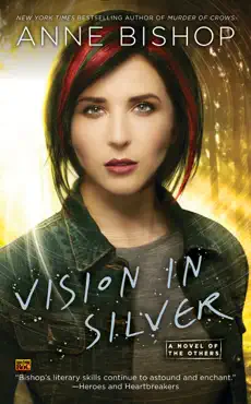 vision in silver book cover image