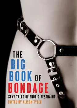 the big book of bondage book cover image