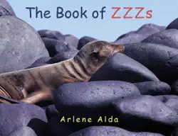 the book of zzzs book cover image