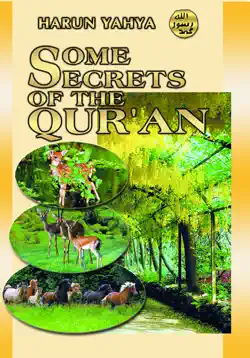 some secrets of the qur'an book cover image