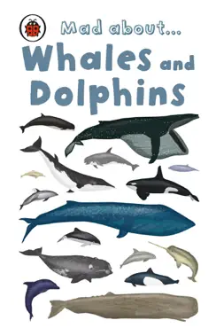 mad about whales and dolphins book cover image