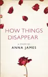 How Things Disappear synopsis, comments