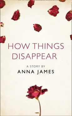 how things disappear book cover image