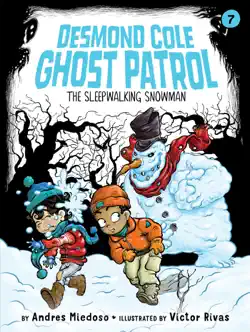 the sleepwalking snowman book cover image