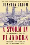A Storm in Flanders book summary, reviews and download