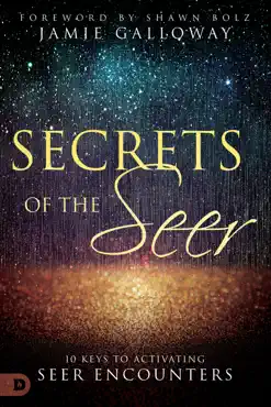 secrets of the seer book cover image