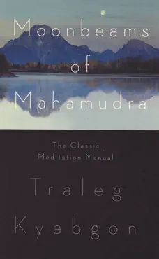 moonbeams of mahamudra book cover image