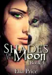 Shades of the Moon synopsis, comments