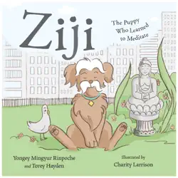ziji book cover image