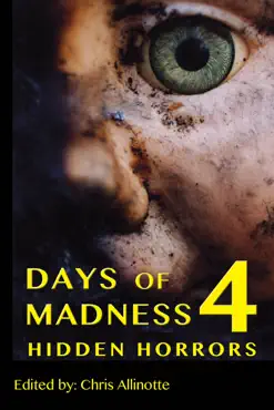days of madness 4 book cover image
