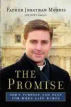 The Promise synopsis, comments