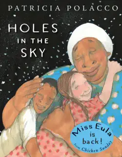 holes in the sky book cover image