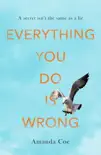 Everything You Do Is Wrong sinopsis y comentarios