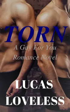 torn: a gay for you romance novel book cover image