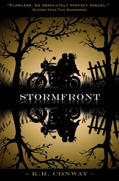 stormfront book cover image