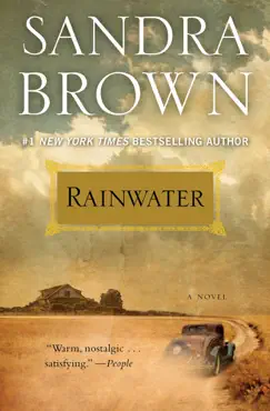 rainwater imagen de la portada del libro