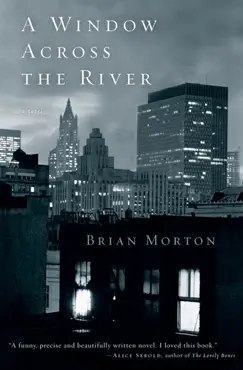 a window across the river book cover image