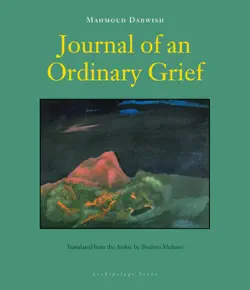 journal of an ordinary grief book cover image