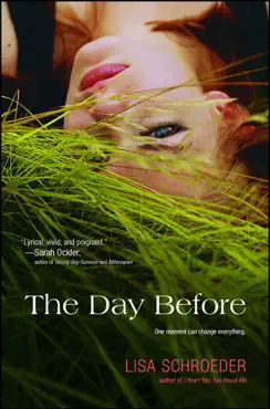 the day before book cover image