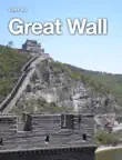 Great Wall synopsis, comments