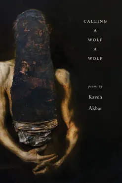 calling a wolf a wolf book cover image