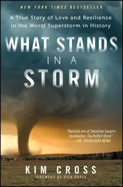 what stands in a storm book cover image