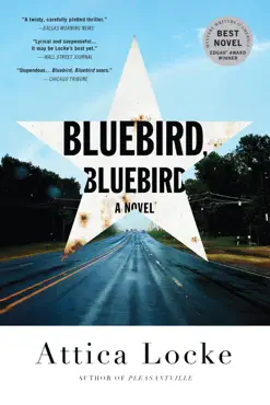 bluebird, bluebird book cover image