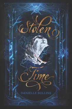 stolen time book cover image