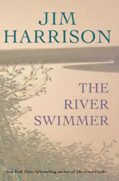 the river swimmer book cover image