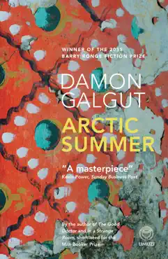 arctic summer book cover image