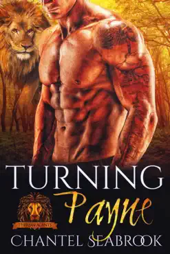 turning payne book cover image